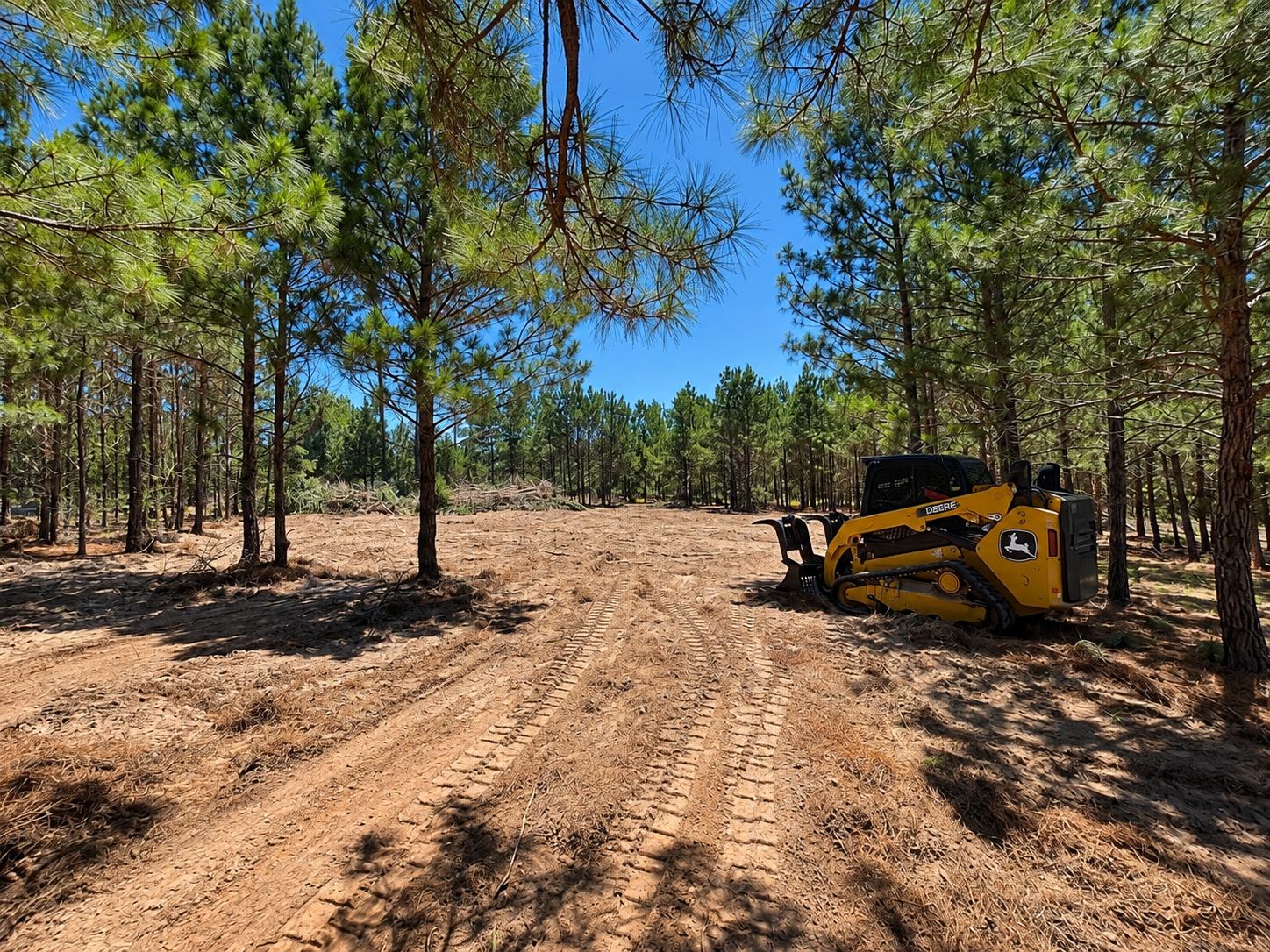 Yellow skid steer parked on a freshly cleared, tire-tracked lot among tall pine trees