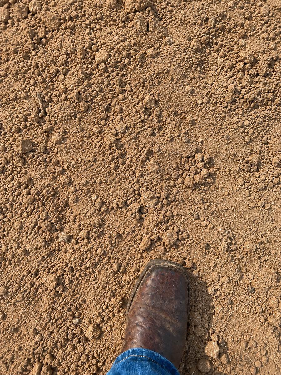 Sandy loam with a work boot for scale