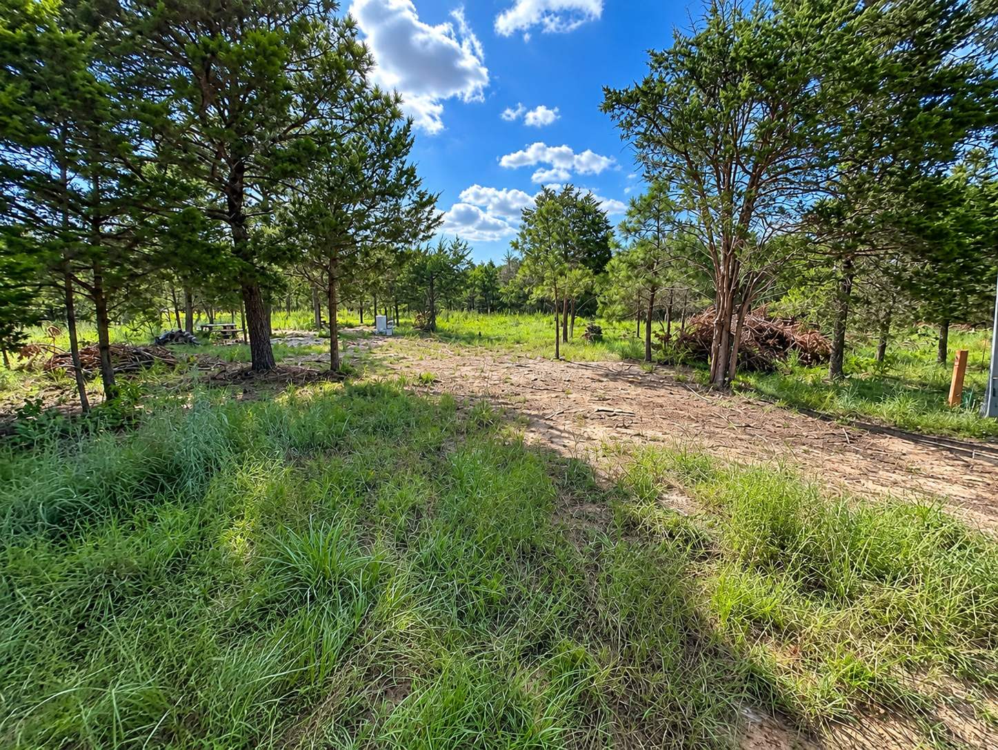 Overgrown wooded property with tall grass and a brush pile before the driveway was cleared